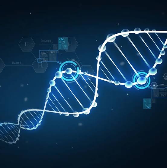 Peptides for Muscle Growth Fat Loss Skin & Recovery