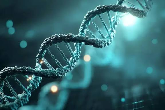 Which Peptides Are FDA-Approved?